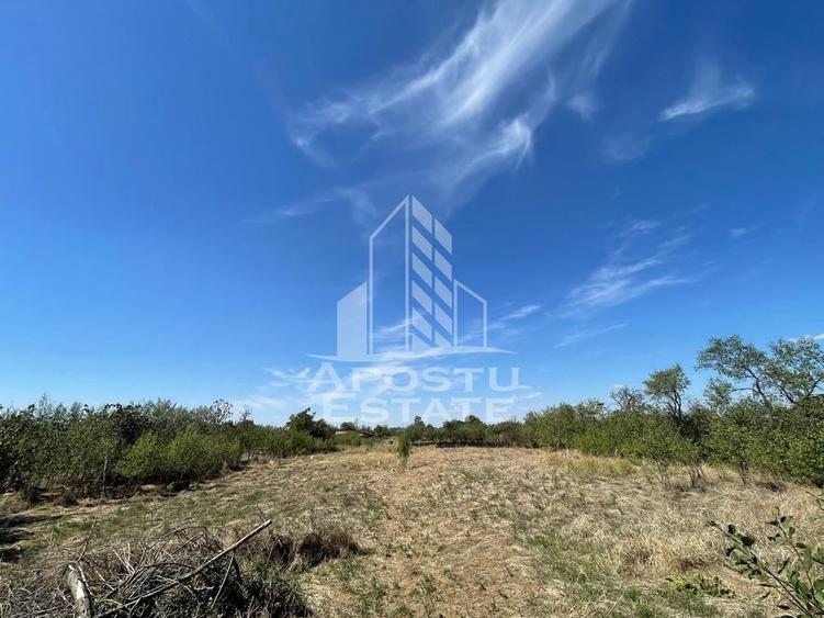 Casa cu teren 3407 mp, la asfalt, Seceani, 26 km de Timisoara. - 3