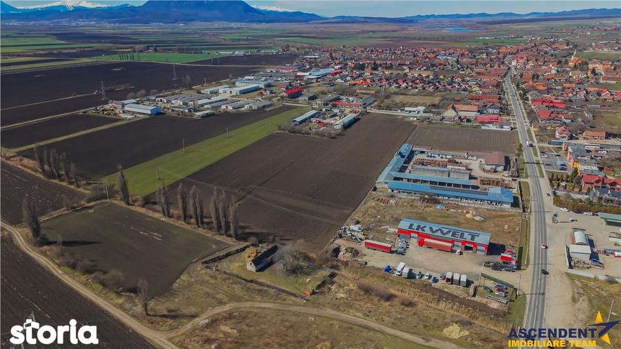 FILM! 10.000mp teren intravilan, Central, Halchiu, Brasov - 2