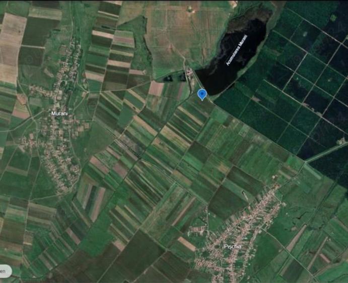 Vand 29.300 mp langa padure si lac Pischia - 2