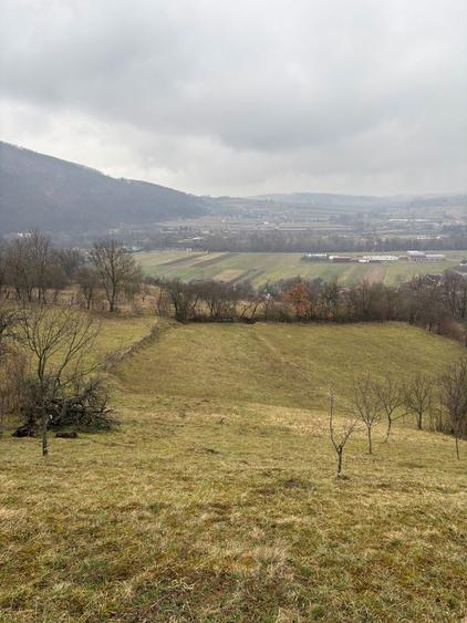 Vand teren intravilan Suncuius - 2