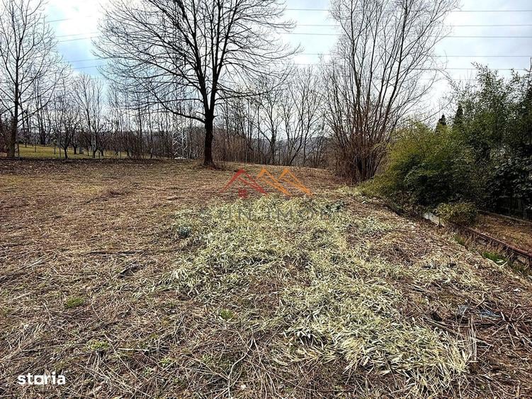 Teren intravilan 3171 mp | Cornu | 29 /mp - 1