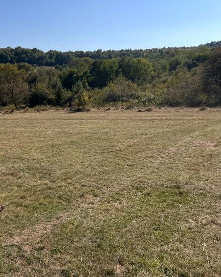 Teren extravilan intabulat Baciu - 6