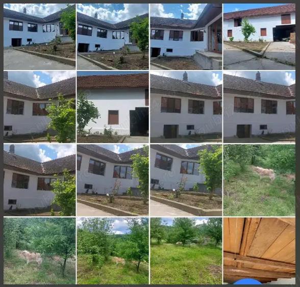 Casa de vanzare Bozovici - 3