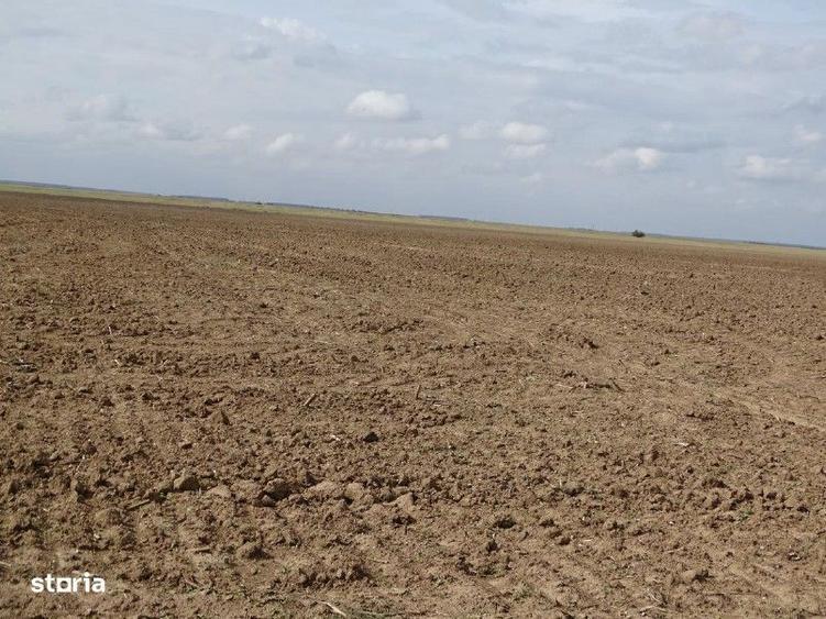 Teren extravilan Scurtu Mare, ID: R2928611 - 7