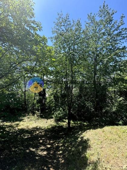 Teren unicat in Piatra Neamt - 7