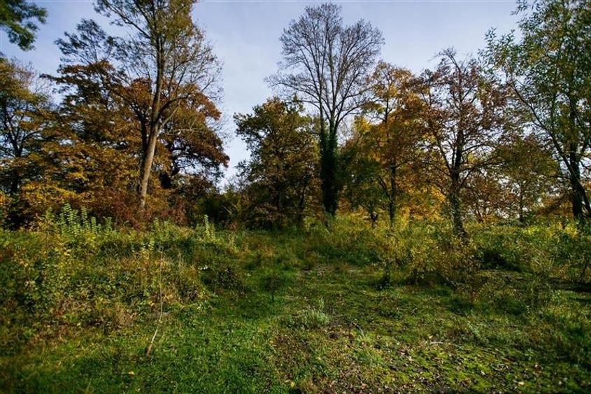 De vanzare Domeniu Baronial SAT CIL - 9