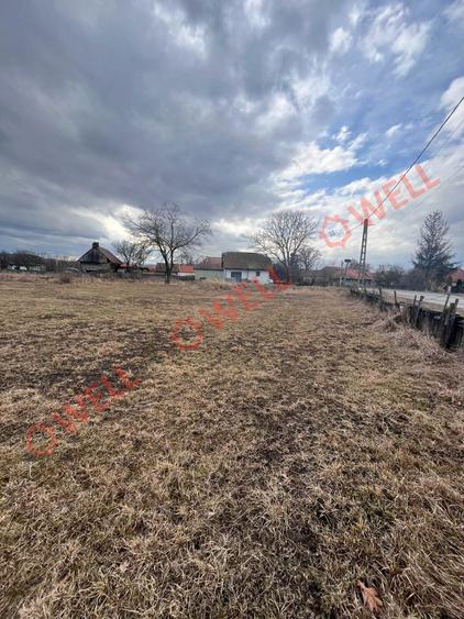 De vânzare teren intravilan în Pachia! - 5