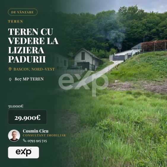 TEREN PREMIUM CU VEDERE SPECTACULOASA LA LIZIERA PADURII | BASCOV | 807 MP | - 7