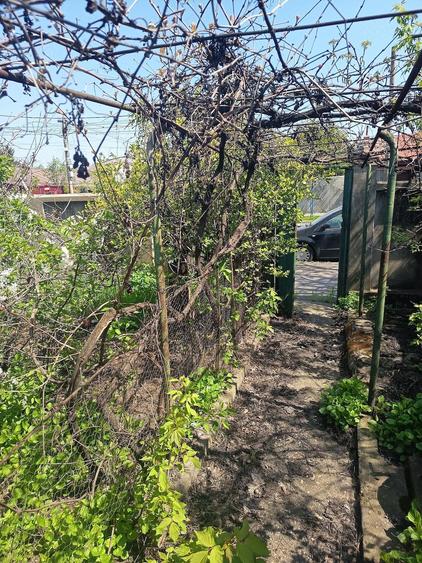 Vand casa sector 5 - 3