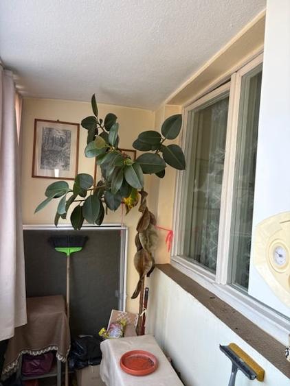Apartament 2 camere cu balcon lung, CT, etaj 3-zona Libertatii - 6