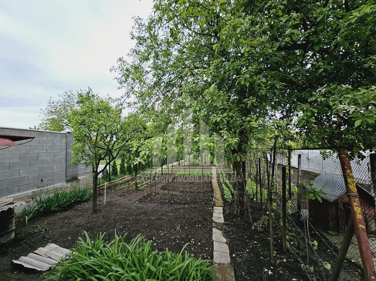 Casa individuala | 350 mp | 791 mp teren | Toate utilitatile | Cetate - 13