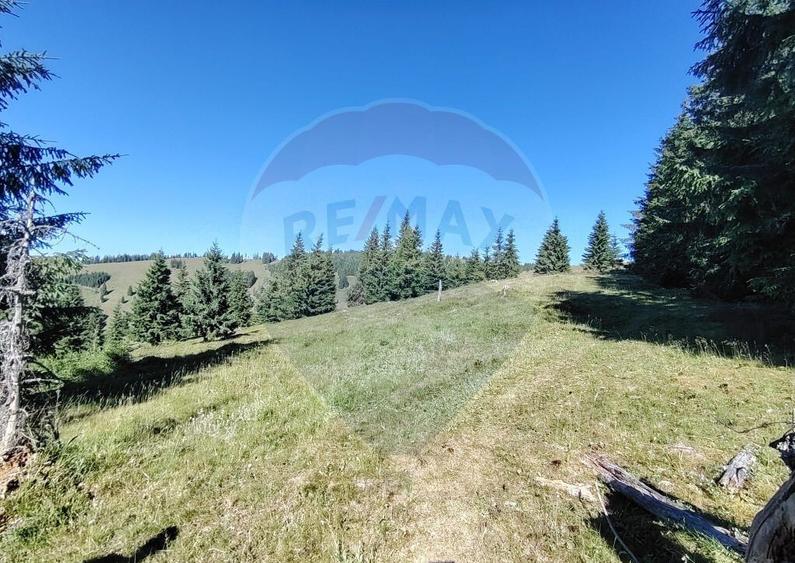 Teren 24,581mp Panaci / Strada Mihaile? - 14