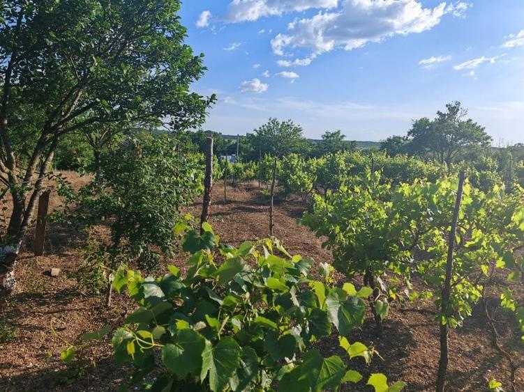 VANZARE CASA INDIVIDUALA - 17