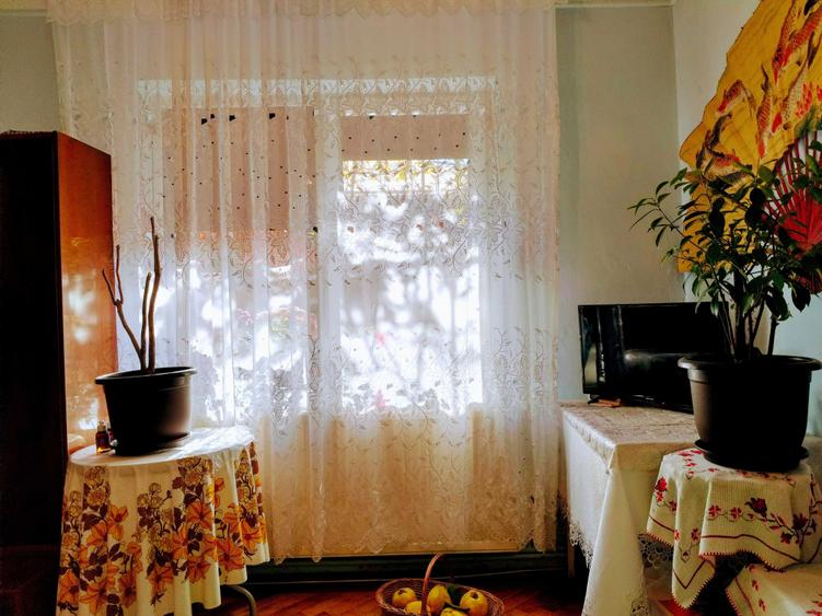 Casa si teren 266 mp Viilor Marius Nasta -Parc Carol - 3
