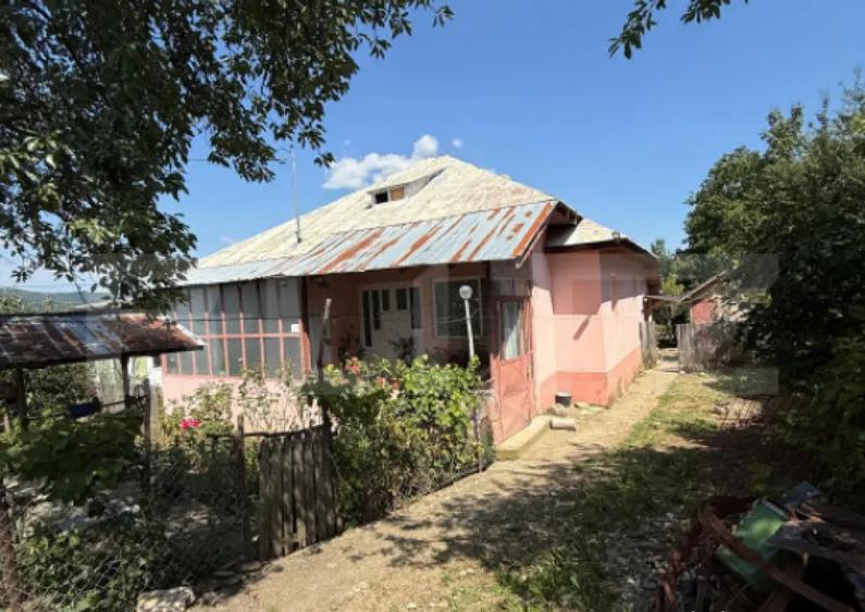 Casa cu teren 1000 m Drajna - 18