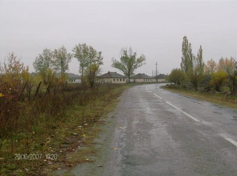 Teren de vanzare agricol si constructie hale cu posibila  legatura la curent - 3