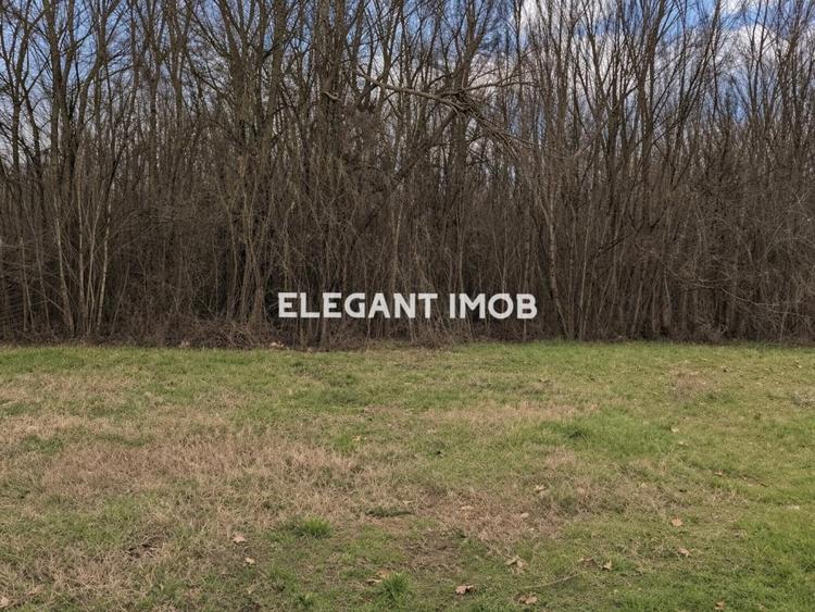 Teren unicat in Paradisul Verde - 1