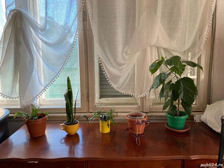 Vand apartament ultracentral, la casa, in Lugoj - 1