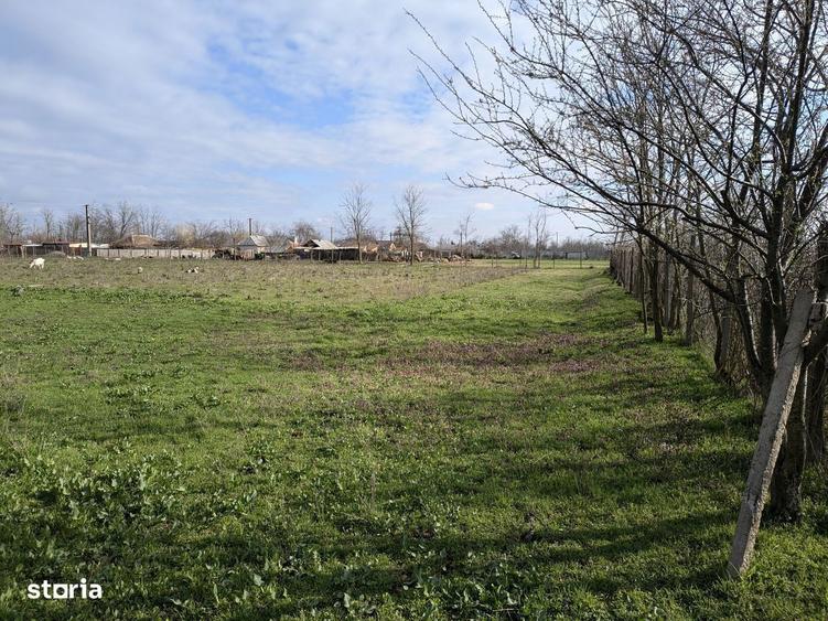 Vand teren 4194 mp - 2