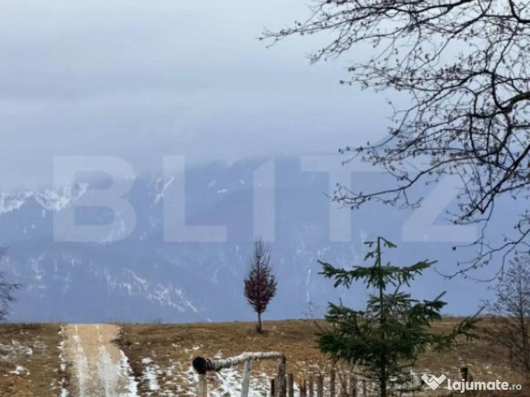 Teren in suprafa?a de 80.000 mp, situat in Glajerie - 1