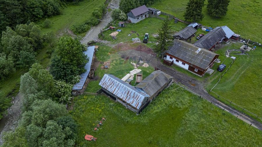 Ferma de vanzare, teren 21436 mp intravilan, Cosnea, Agas - 6