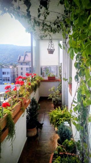 Apartament ultracentral, 3 camere ! - 3