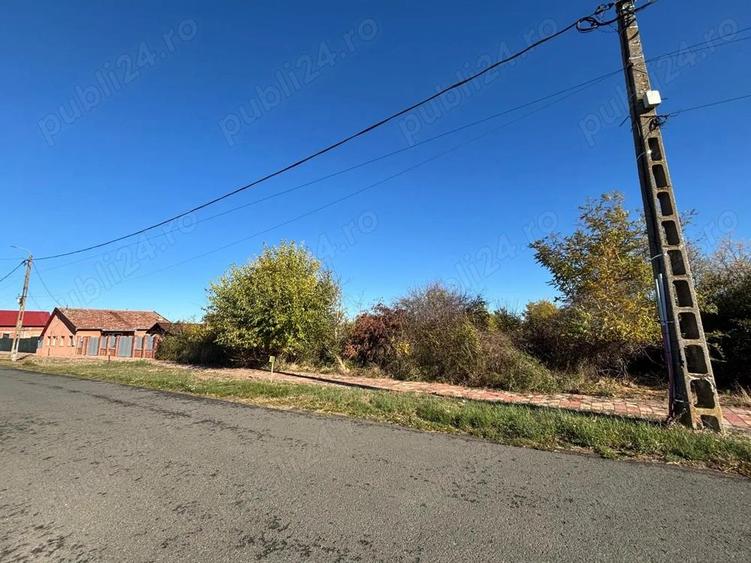 Proprietar vand teren 1439 mp pe strada DEJ, oras Sanicolau Mare - 7
