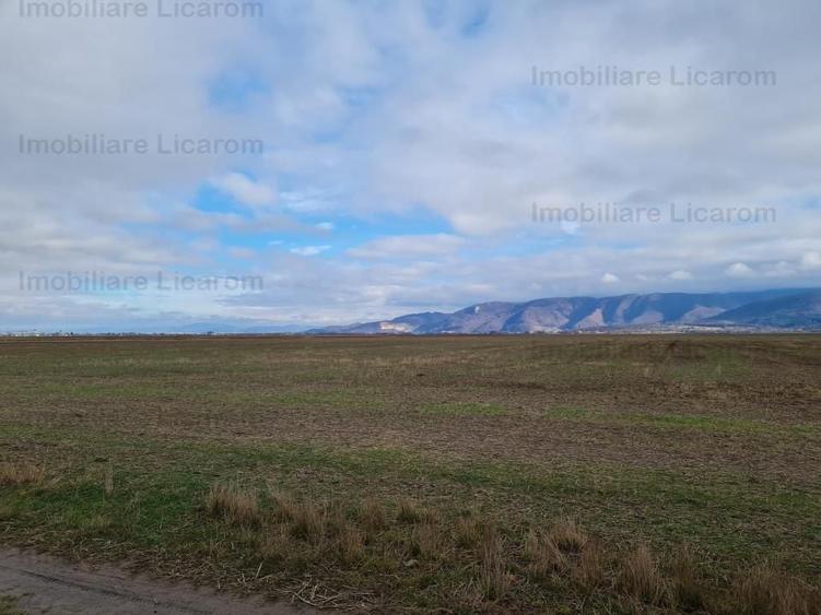 Teren extravilan 2,9 HA,intre Cristian si Vulcan - 5