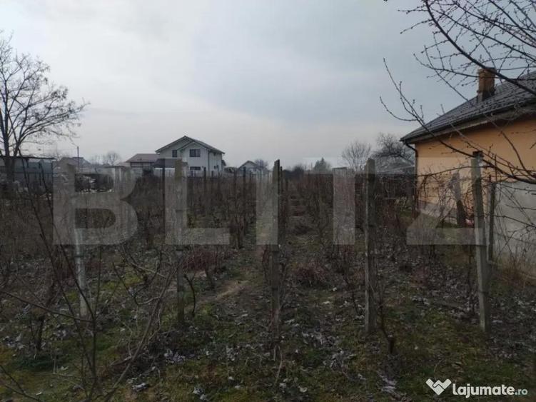 Teren intravilan 1811 mp, cu utilita?i, zona Malu Mare! - 3