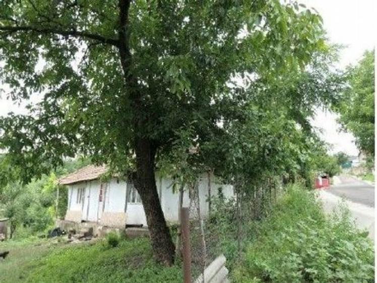 Casa si teren Costinesti, Botosani, ID: R2728052 - 10