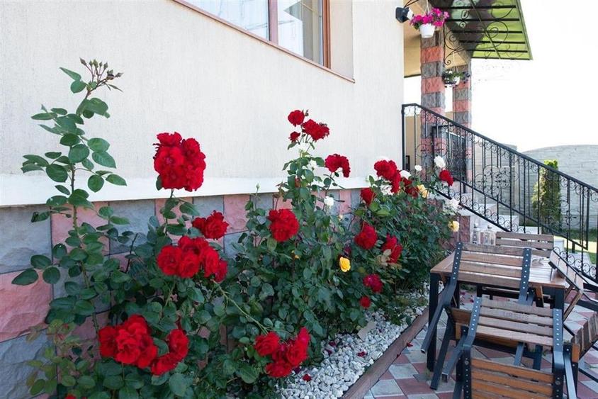 Vila P+E+M Sanpetru Teren 2400 Mp - 9