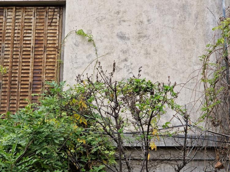 Apartament + garaj - ASE - Curte - 13