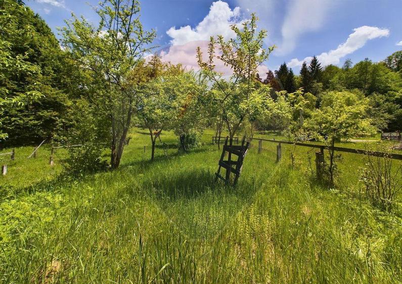 Comision 0%! Proprietate in natura, priveliste superba, S... - 5