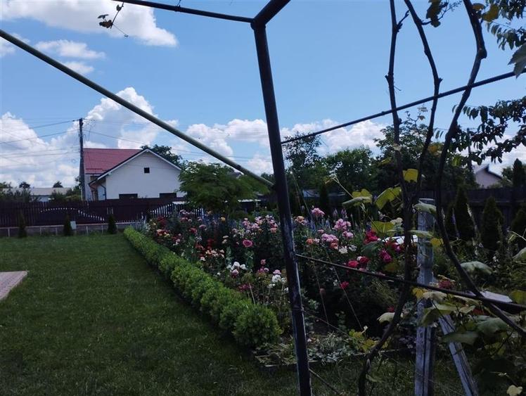 Vila, Republicii, Bacau - 20