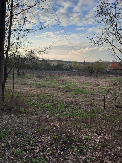 Vand teren intravilan Gheorghe Doja - 5