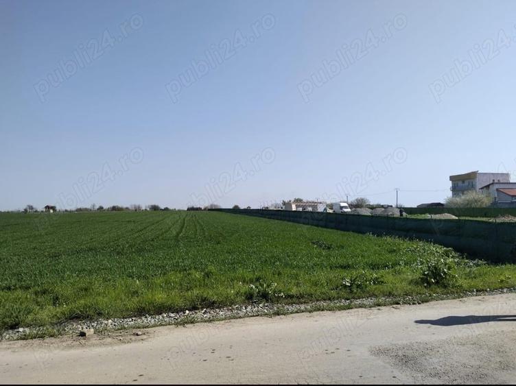 Loturi de teren 348 mp - 4