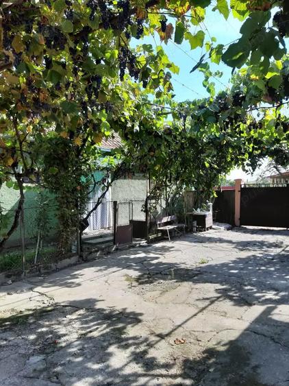 Vand proprietate in Miersig, jud.Bihor, la aproximativ 20 km de Oradea. - 1