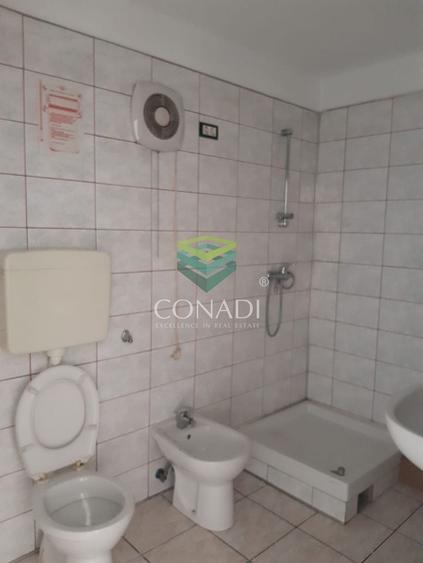 De inchiriat Hala C1 - zona DNCB Clinceni - 7