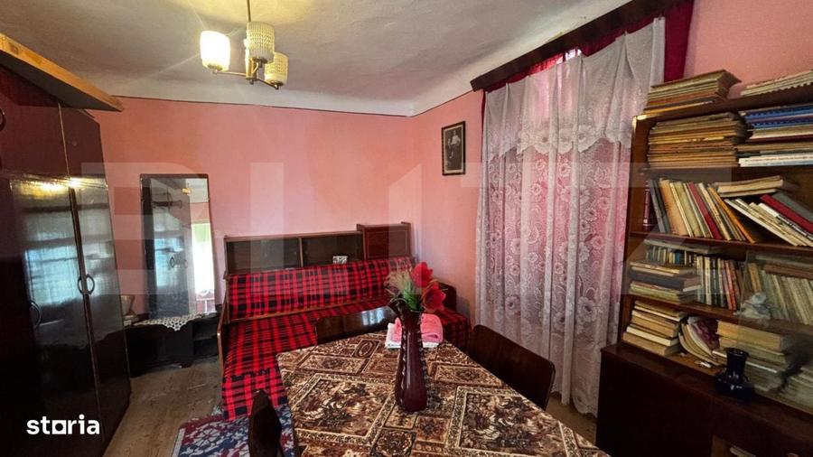 Proprietate cu 2 case, 3.345 mp teren, Balota de Jos, comuna Murgasi - 4