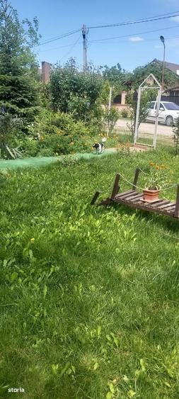 Casa de vacanta la 30 km de Bucuresti (sat Banesti) - 5