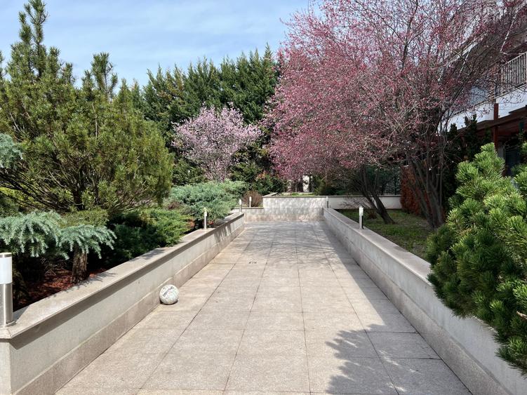 Vanzare Apartament 3 Camere Modern Iancu Nicolae - 26