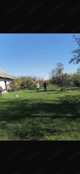 Casă cu Teren 2436 Mp în Cotu Ciorii