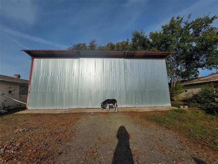 Hale de inchiriat cu acces din centura - 11