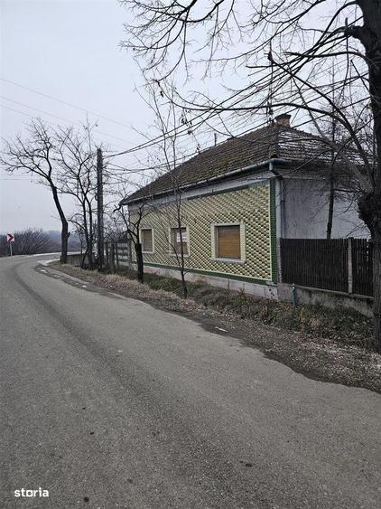 Casa Uileacu de Cris - 8