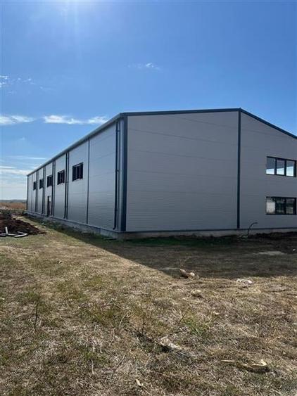 Vanzare Hala Noua Dascalu, plus teren - 6