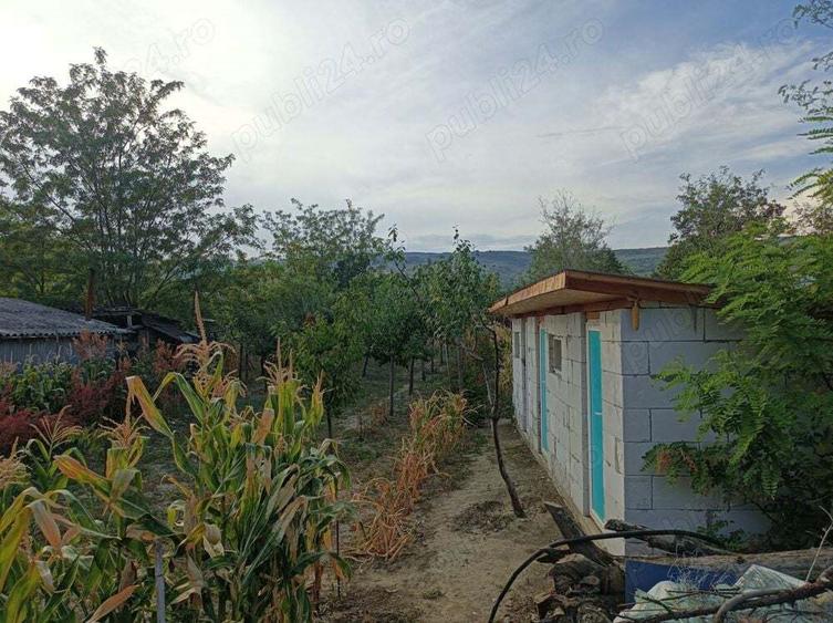 Casa cu curte si gradina - zona linistita si frumoasa - 8