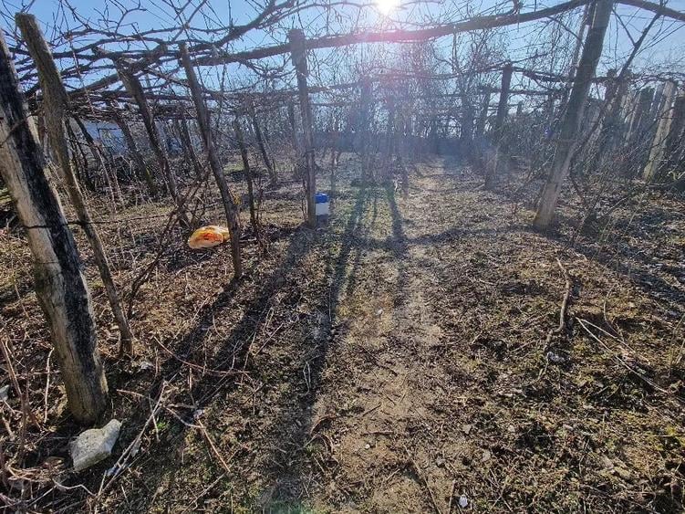Casă cu 3 camere cu Teren 1500 Mp în Bala