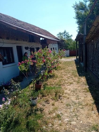 Casă cu 3 camere în Turcinești