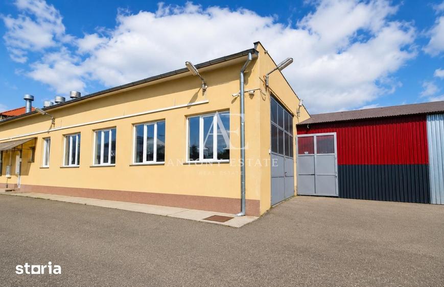 Antony Estate | Spatiu Comercial de inchiriat, Zona Ultracentrala, Ora - 9