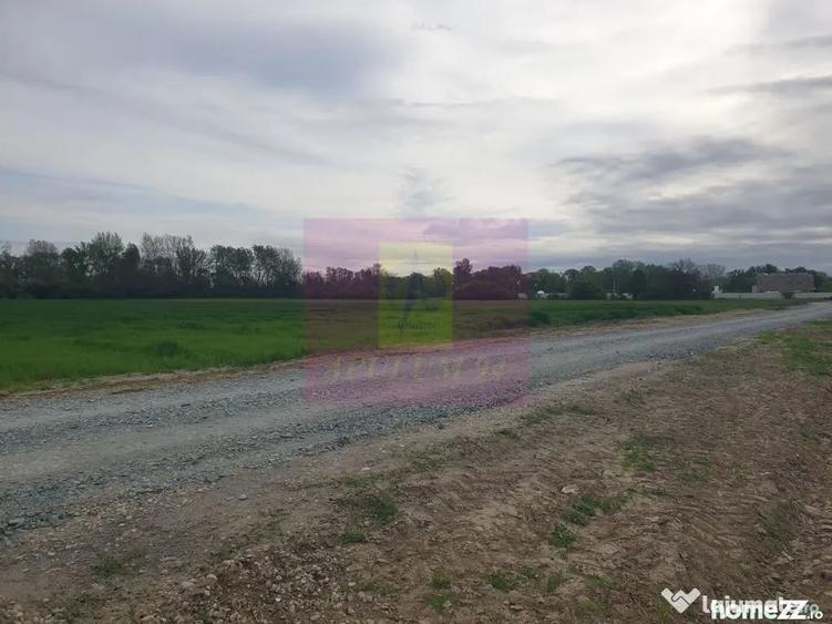 Teren în Sud